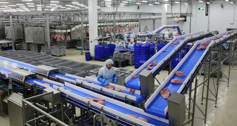 Food Processing Plant